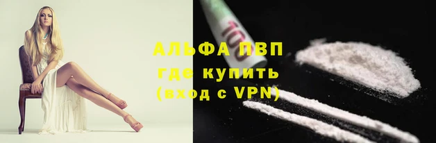 не бодяженный Грязовец