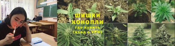 spice Грязи